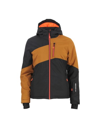 Ensemble de ski ANICE/GW/CA