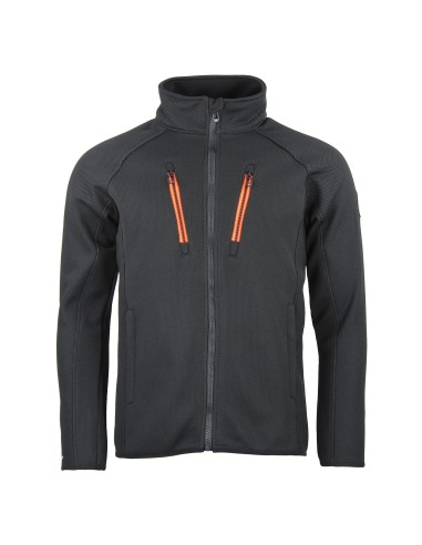 Blouson Polaire Homme CARISION/QI/N